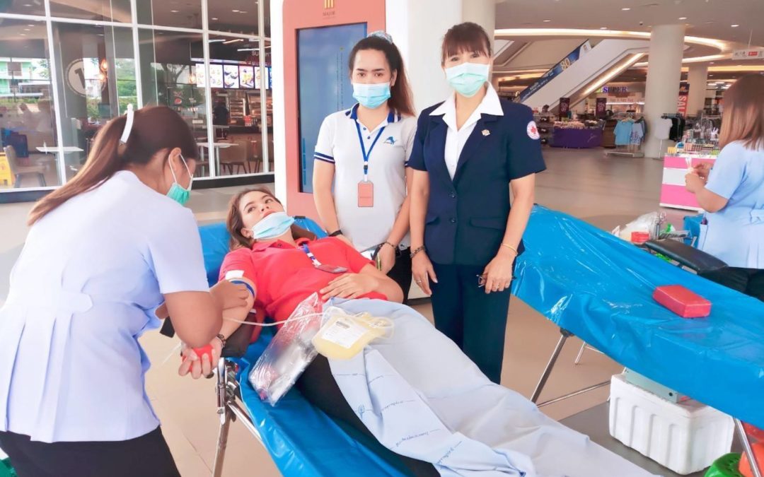 สุราษฎร์ธานี