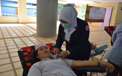 สตูล