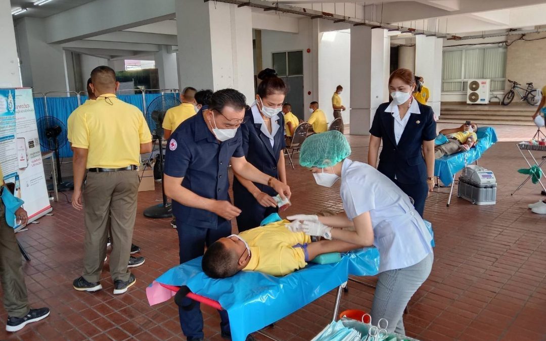 สุราษฎร์ธานี