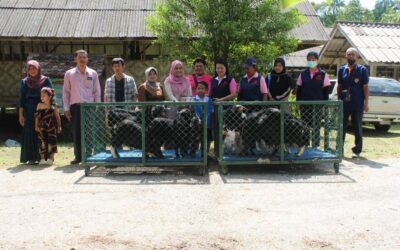 นราธิวาส