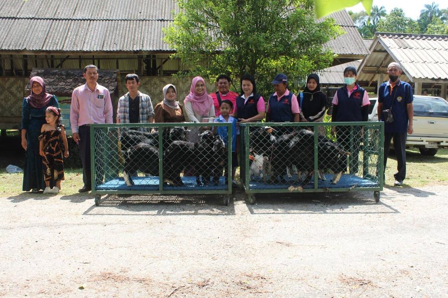 นราธิวาส